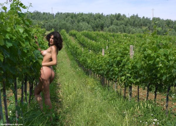 Jennipher in the wine fields #4