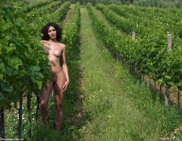 Jennipher dans les vignes #8