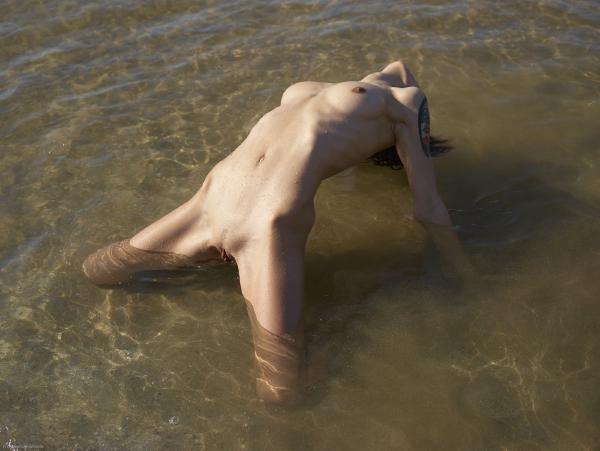 Rose sunny Spain #36